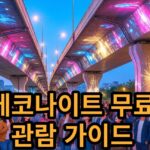 2026 에코나이트 페스티벌 무료 관람 가이드